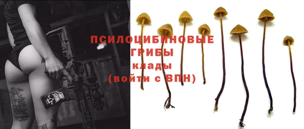 синтетический гашиш Алексин