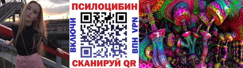 Псилоцибиновые грибы Psilocybine cubensis  Электрогорск 